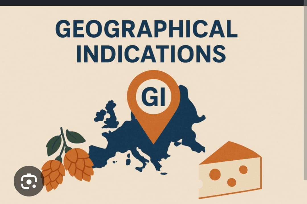 Cover image for: Geographical Indications as a Strategic Tool for Conserving India’s Agrobiodiversity and Traditional Knowledge Systems