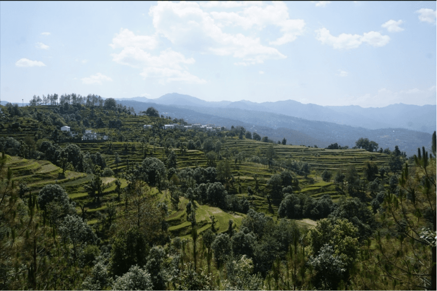 Cover image for: Uttarakhand's Van Panchayats: SDG Pioneers at a Governance Crossroads