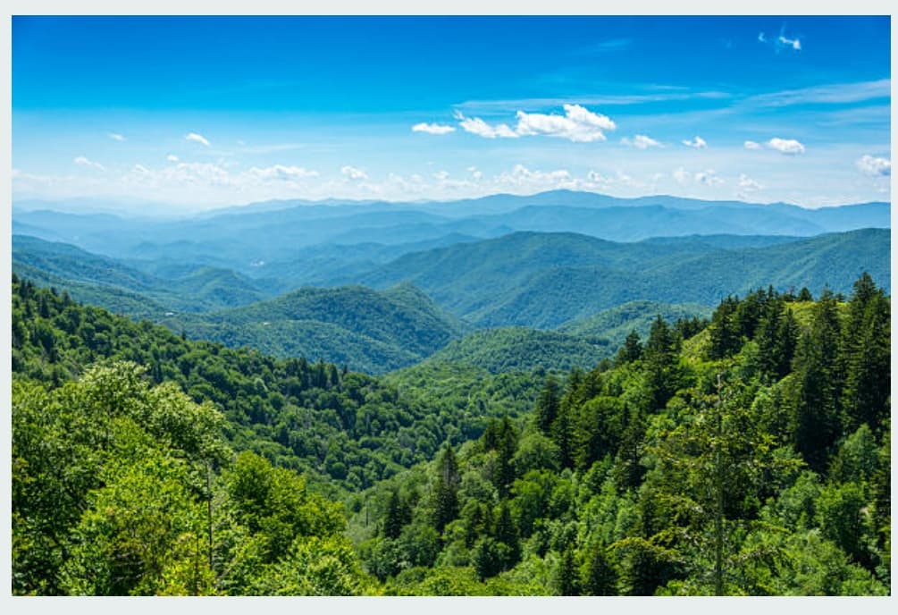 Cover image for: Beyond the Checklist: Why ESG Must Become the Operating System for the Himalayan Bioeconomy