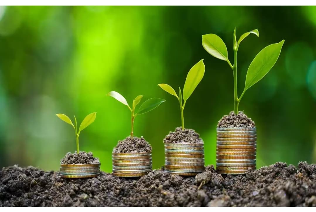Cover image for: India's bioeconoour is growing fast. Whether it is becoming a bioeconoour is a harder question