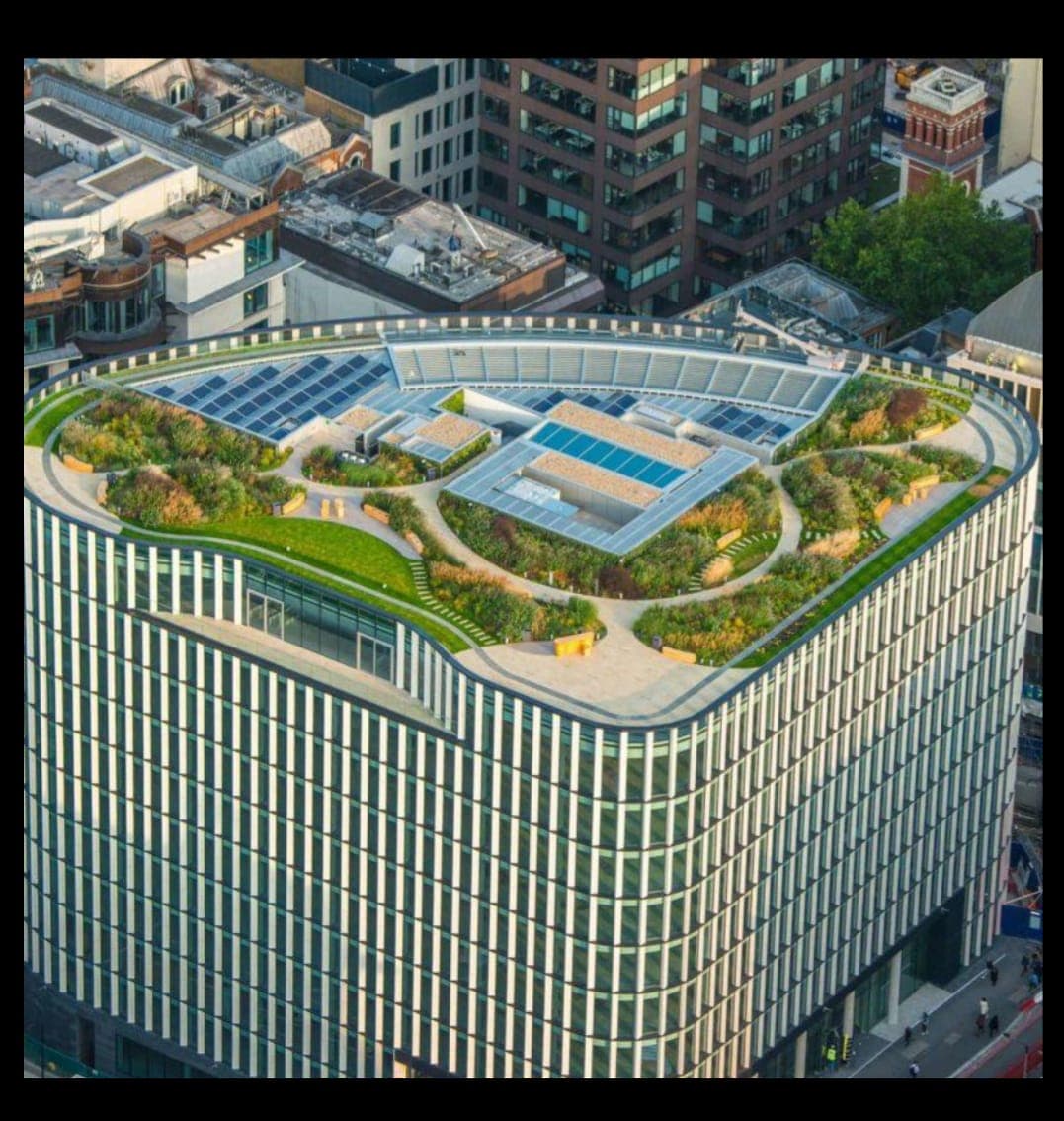 Cover image for: Counting carbon: The built environment and the case for ESG in UK real estate