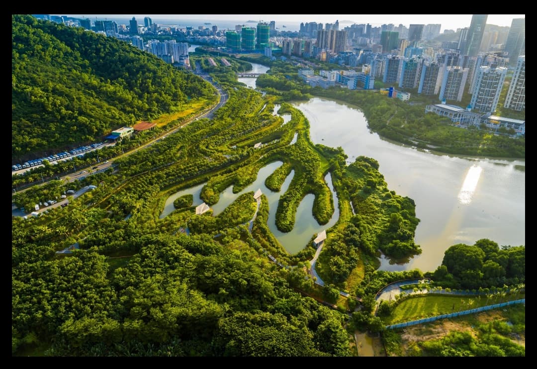 Cover image for: Beyond Carbon: Nature as Climate Infrastructure